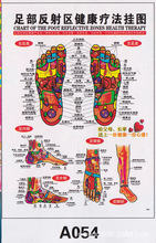 厂家直销批发人体穴位经络挂图 足部反射区健康疗法挂图A054