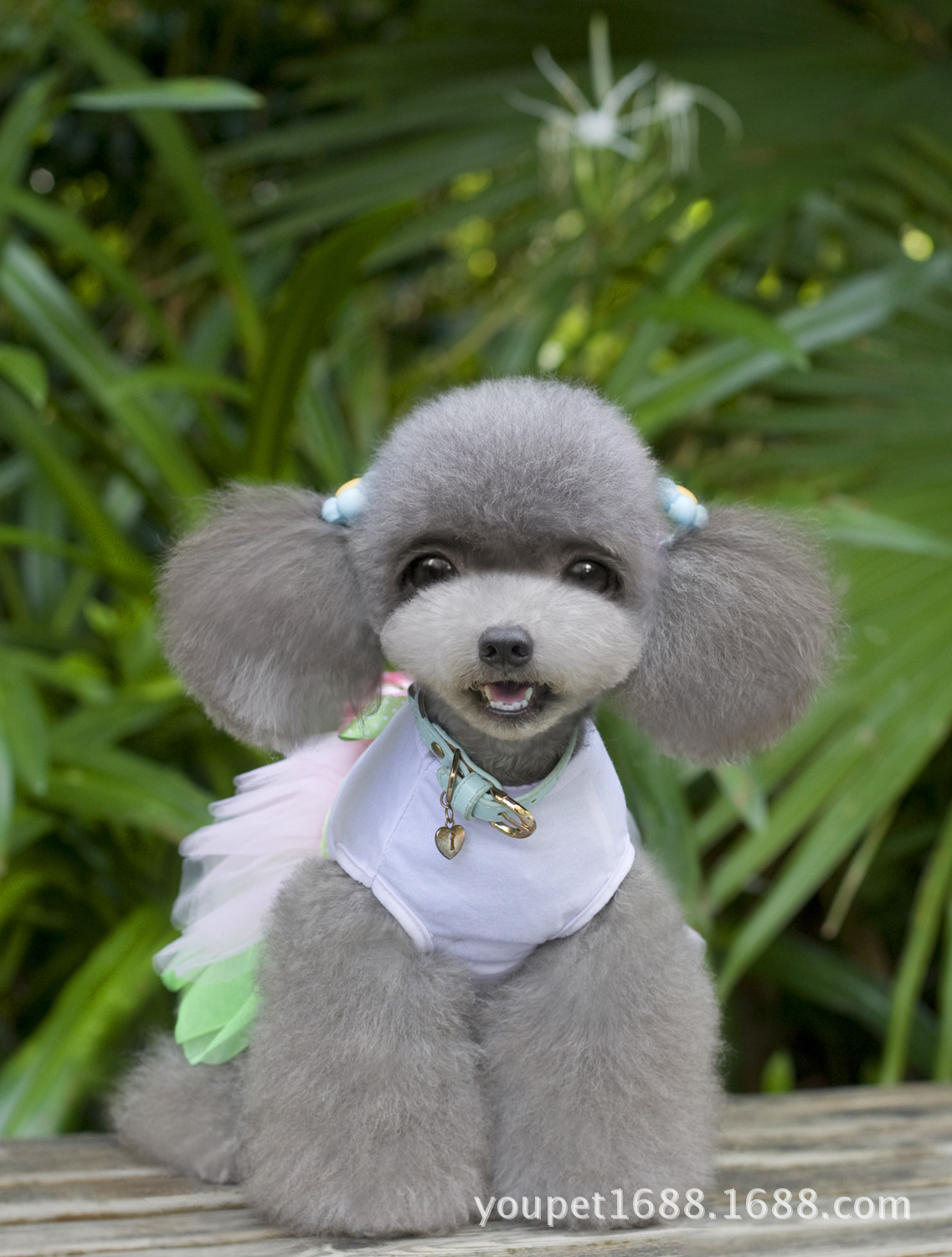 宠物衣服狗狗衣服宠物服装宠物裙春夏季新款泰迪狗太阳花裙子批发