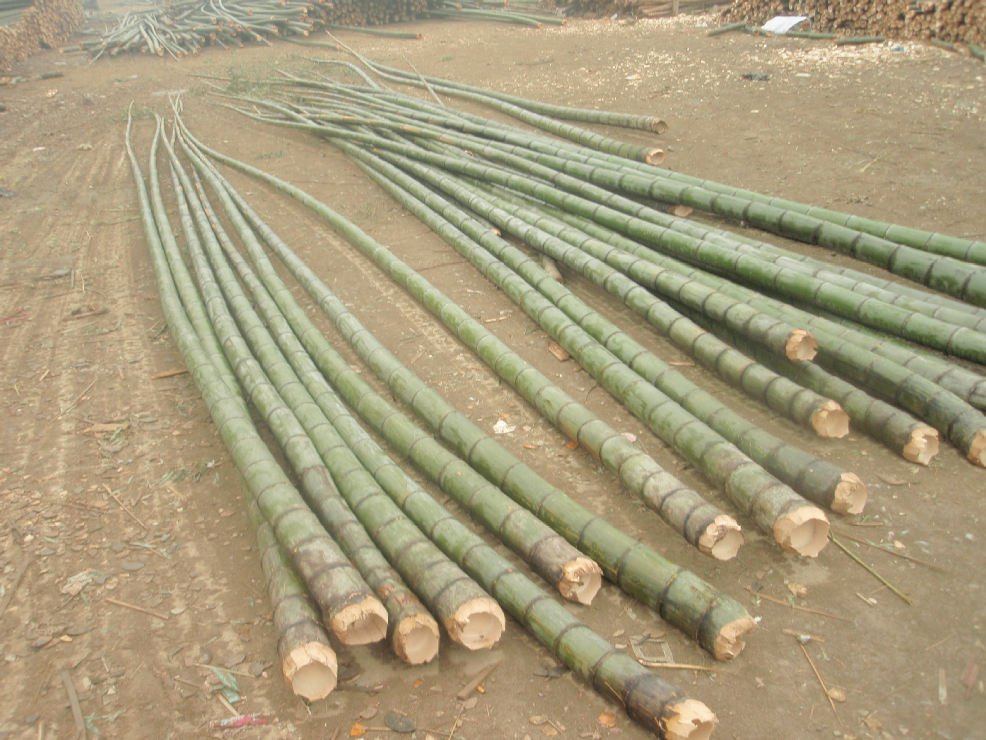 现货促销 大量供应种植类竹竿,低价,高质量