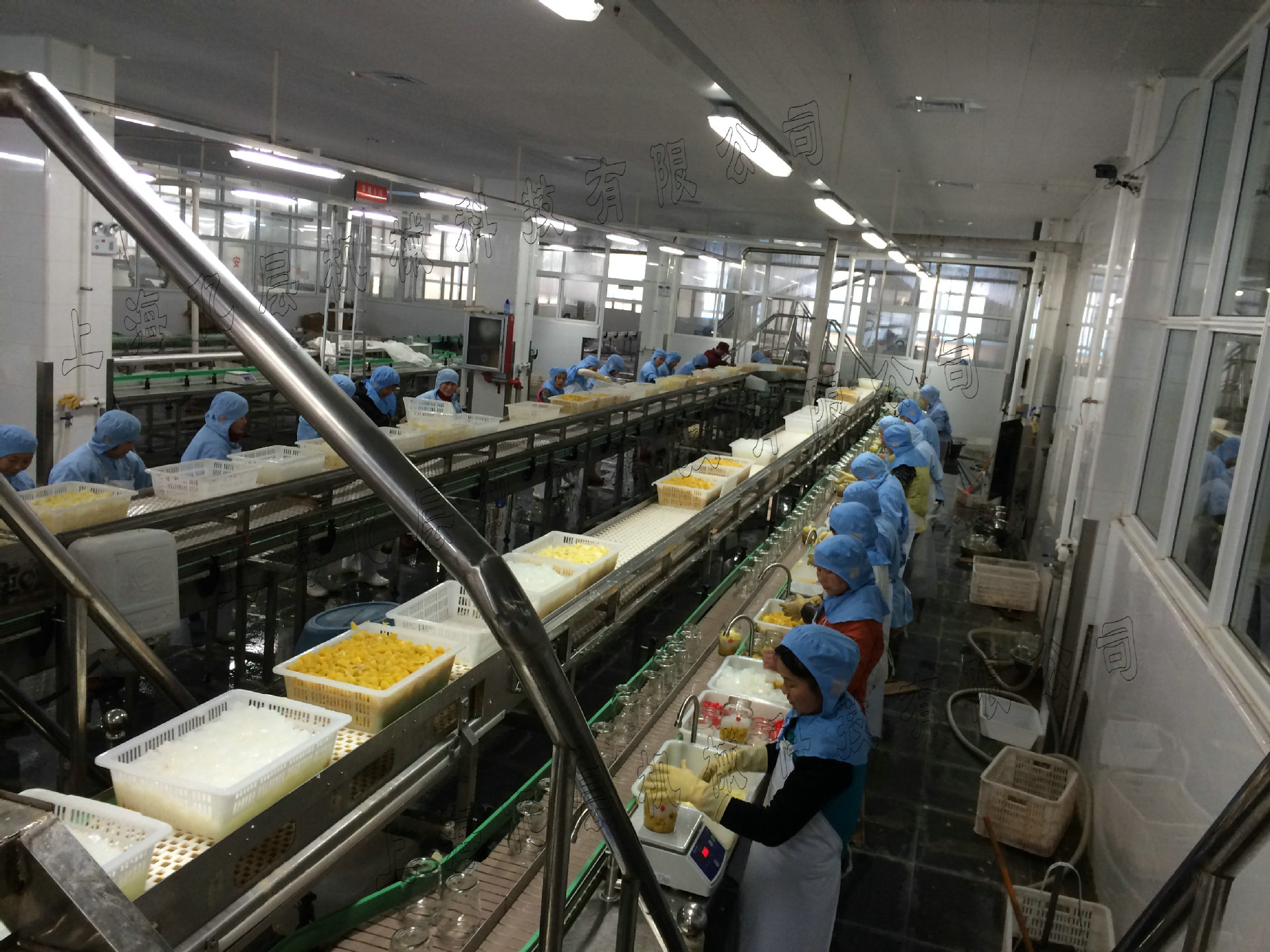 水果罐头生产线 桔子罐头加工设备黄桃罐头设备休闲食品加工设备