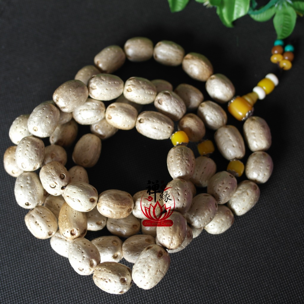 一 种非常珍贵的菩提果实,成熟蒂落后,顶部有五个小孔,里面有五颗种子