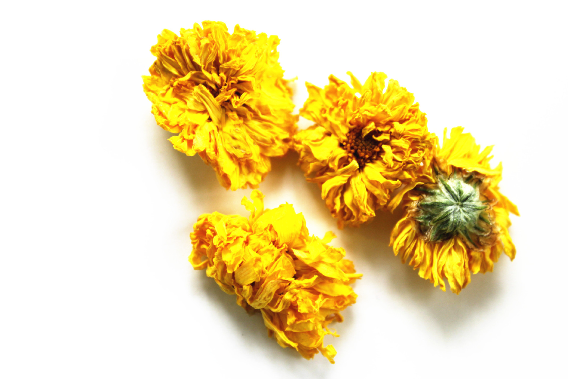 批发销售黄贡菊花草茶 黄金菊花草茶 平肝明目清热祛火