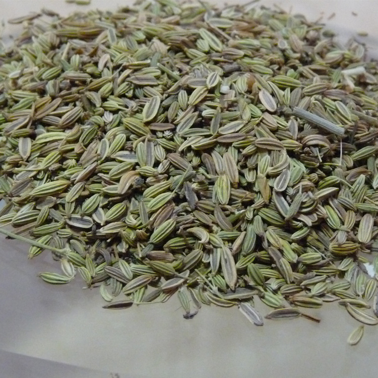 纯天然小茴香中药材调味香料 健康干调料各种调味品口感纯正