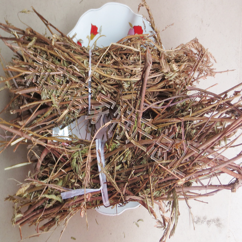 铁甲草 正宗野生铁甲草 软肝草 煲汤料 图片_高清大图 - 阿里巴巴