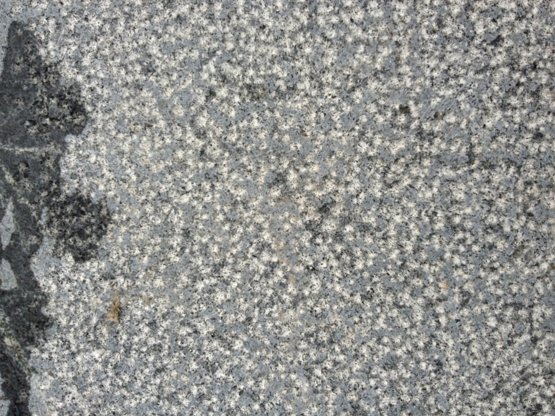 福建 深灰色 石材 g654 芝麻黑 芝麻灰 中灰麻 g641 自然面蘑菇石