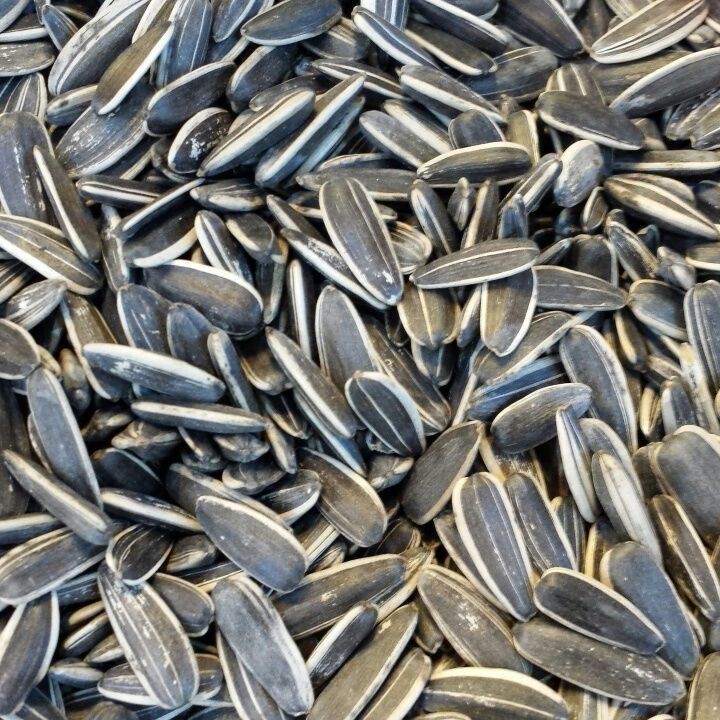 厂价直销 金奇美国瓜子五香葵瓜子美葵10斤/包 坚果炒货批发