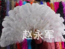 T1M3nLXiVgXXa3gLw._082210.jpg_