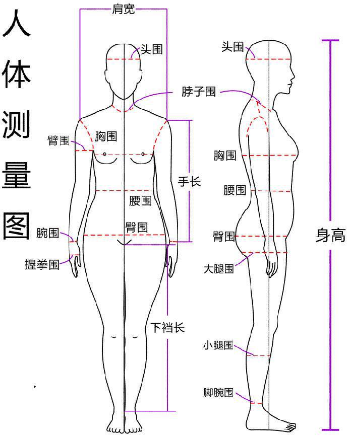 身体围度测量标准图图片