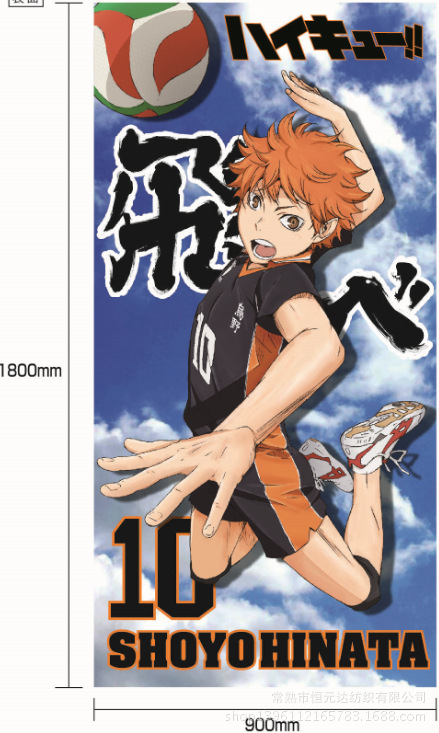 排球少年10号 日向翔阳