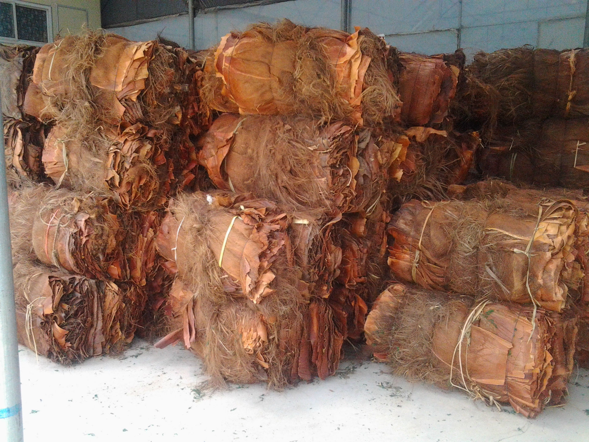 棕衣山棕片棕毛做床垫扫把绿萝柱鱼苗孵化柔软韧性好耐湿耐腐烂