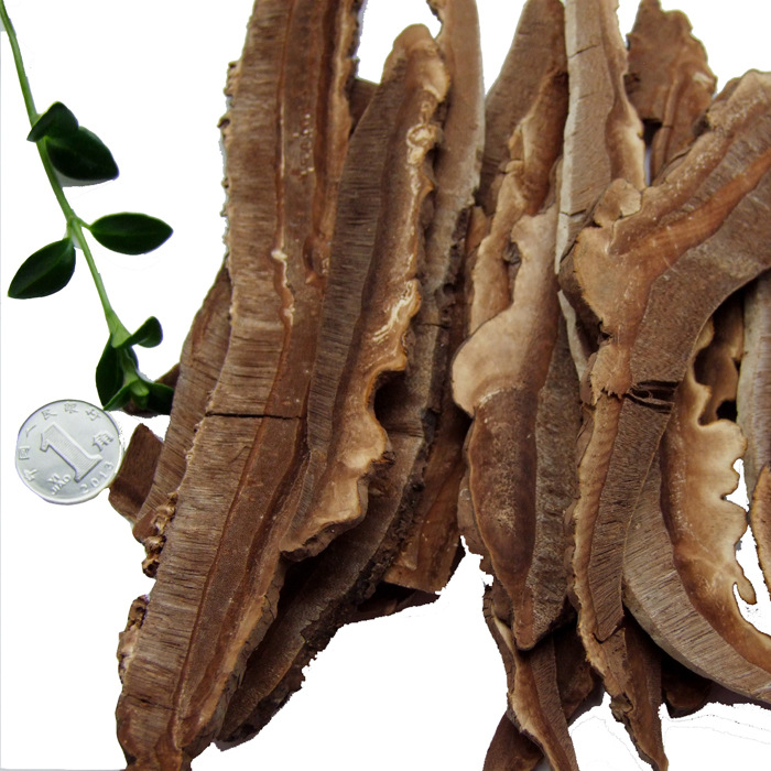 供应紫灵芝片以紫灵芝为原料人工手切片中心选片近几年对