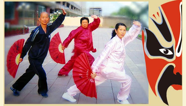 忍者风太极扇 运动功夫扇团体表演专用稠面武术扇 塑料扇 扇子