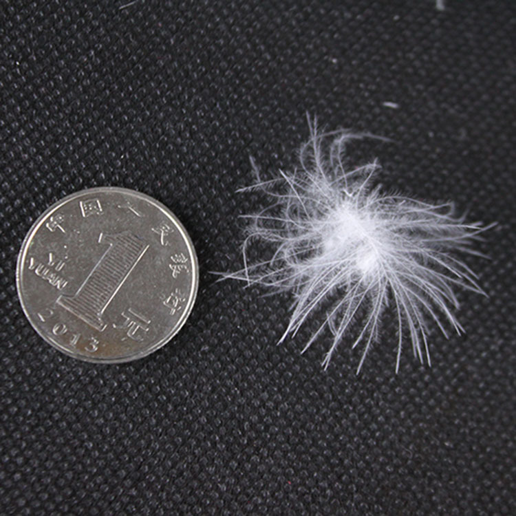 90优质散装羽绒白鹅绒大朵绒定做羽丝绒被填充物制衣厂专用