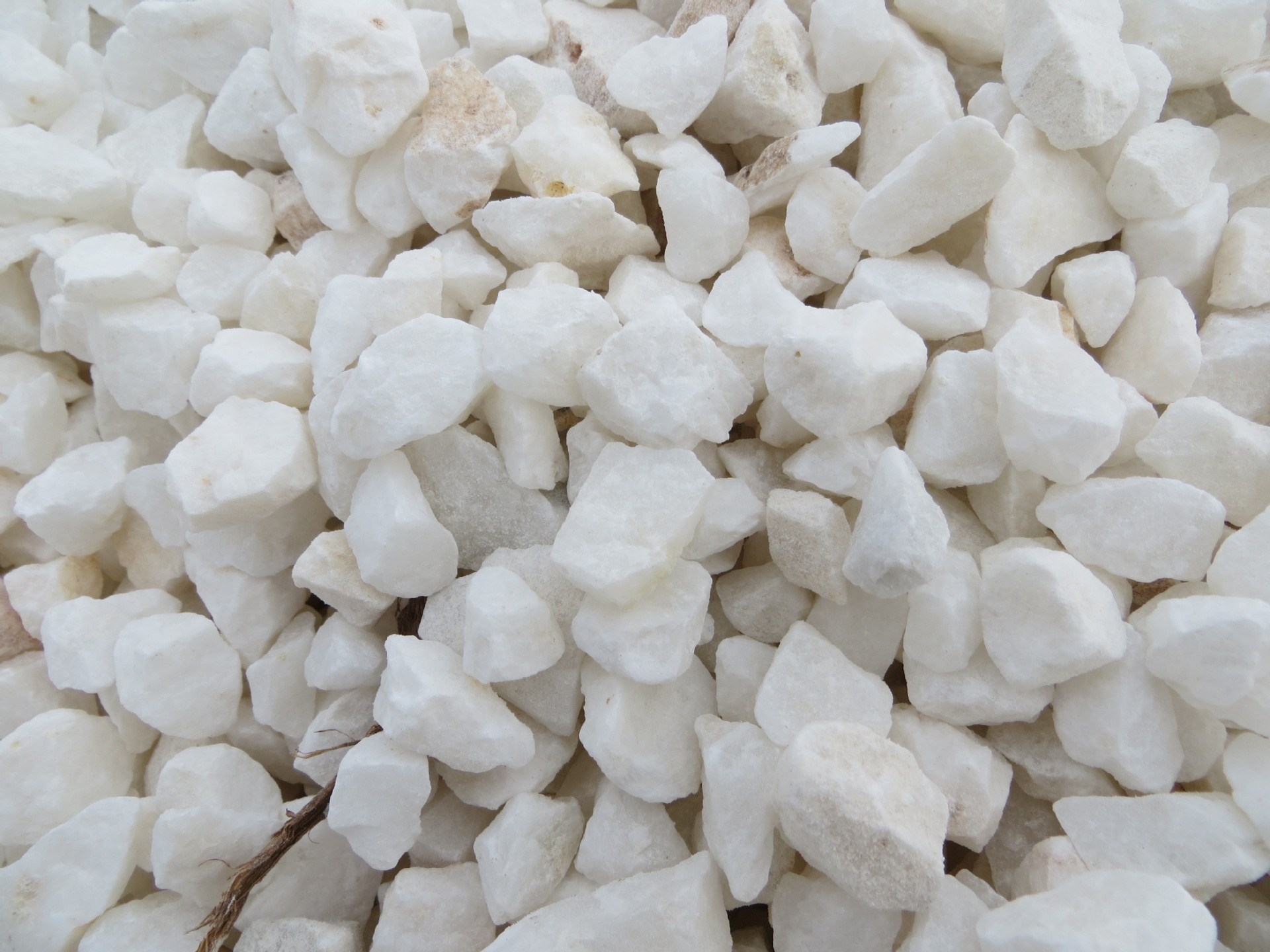 石米 五色砾石 建筑 装修 岫岩石米 厂家直销