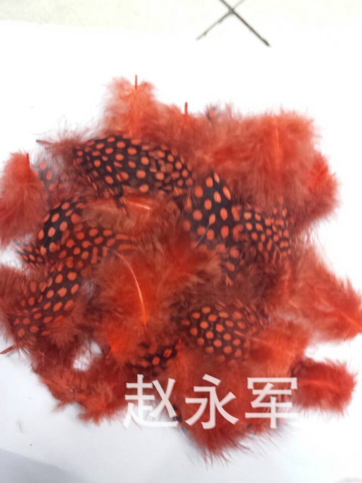 QQ图片20140505134515