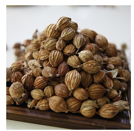 火锅冒菜必备四川川砂仁 沙仁 优质四川特产 各种火锅底料