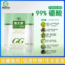 国光朋 99%硼酸 微量元素促开花保花保果缩果病畸形果叶面肥10g