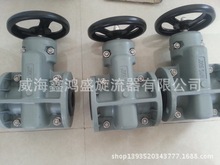 NTG50 NTG50/2”  NTG 电厂阀门 脱硫阀门 价格仅供参考