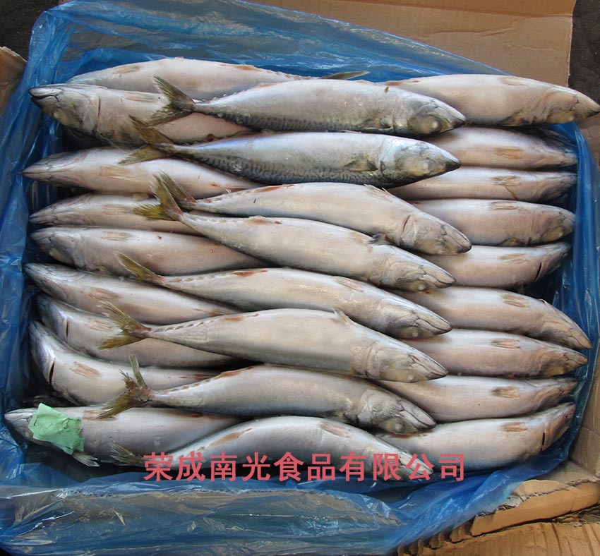 2015 ������300-400g 4