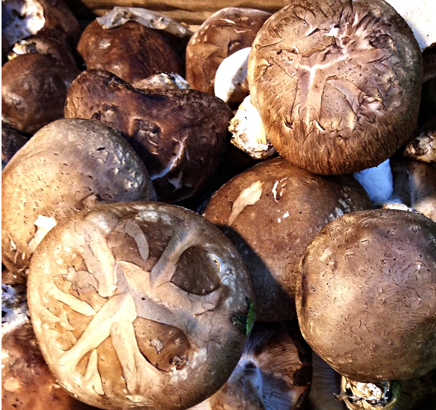 陇南康县土特产 250g礼盒装香菇 肉脆厚嫩菇香浓郁爽滑可口