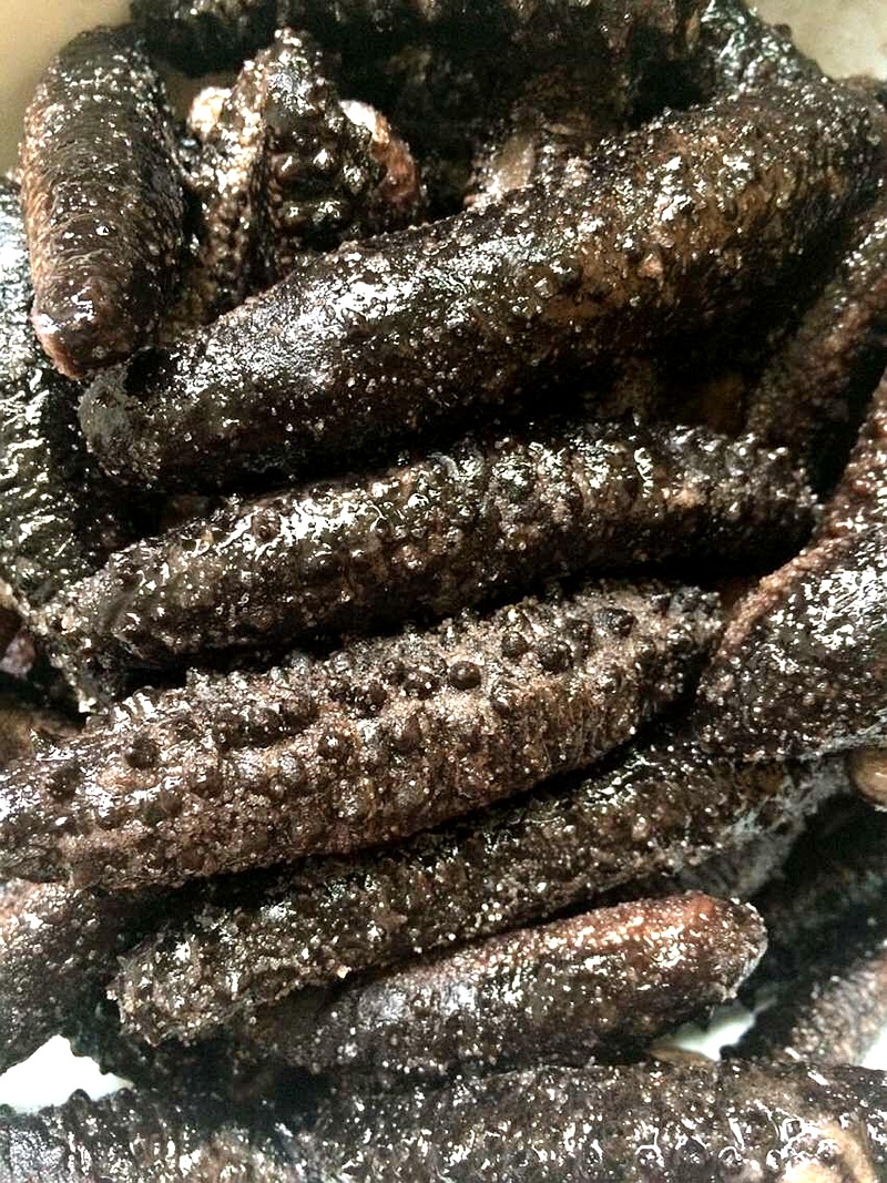 野生即食海参刺参美国海参岩刺参半干盐渍南美海参批发500克