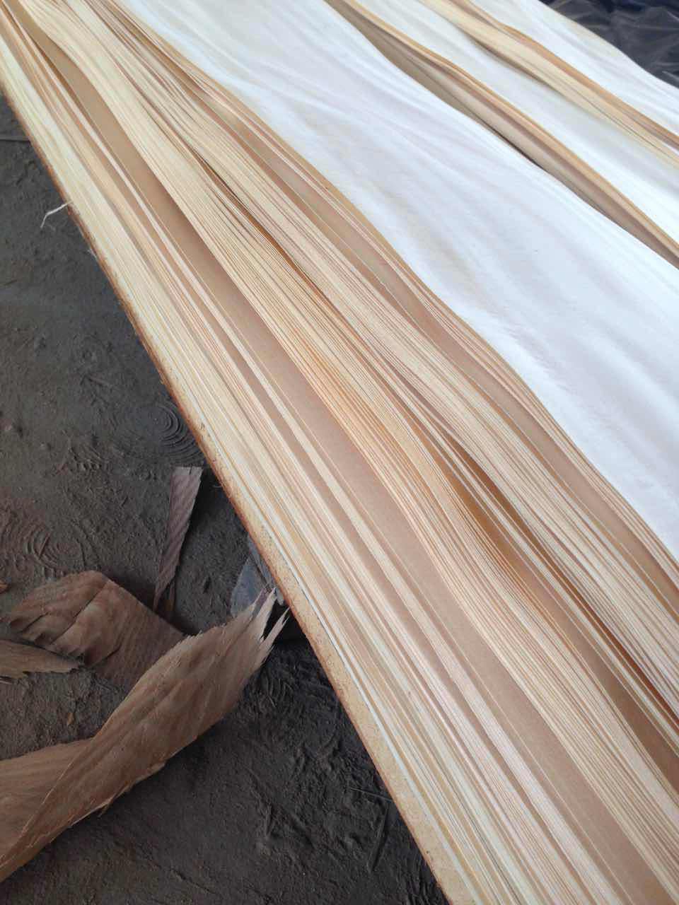 东北椴木木皮厂家直销水曲柳木皮