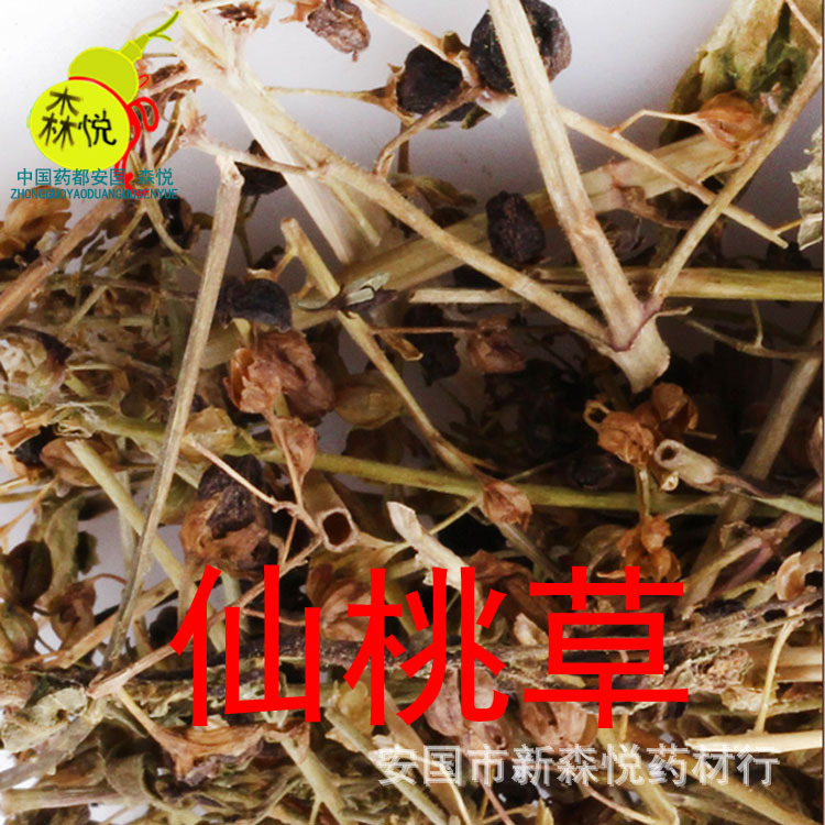 仙桃草批发冷背中药材蚊母草接骨草接骨仙桃水蓑衣英桃草