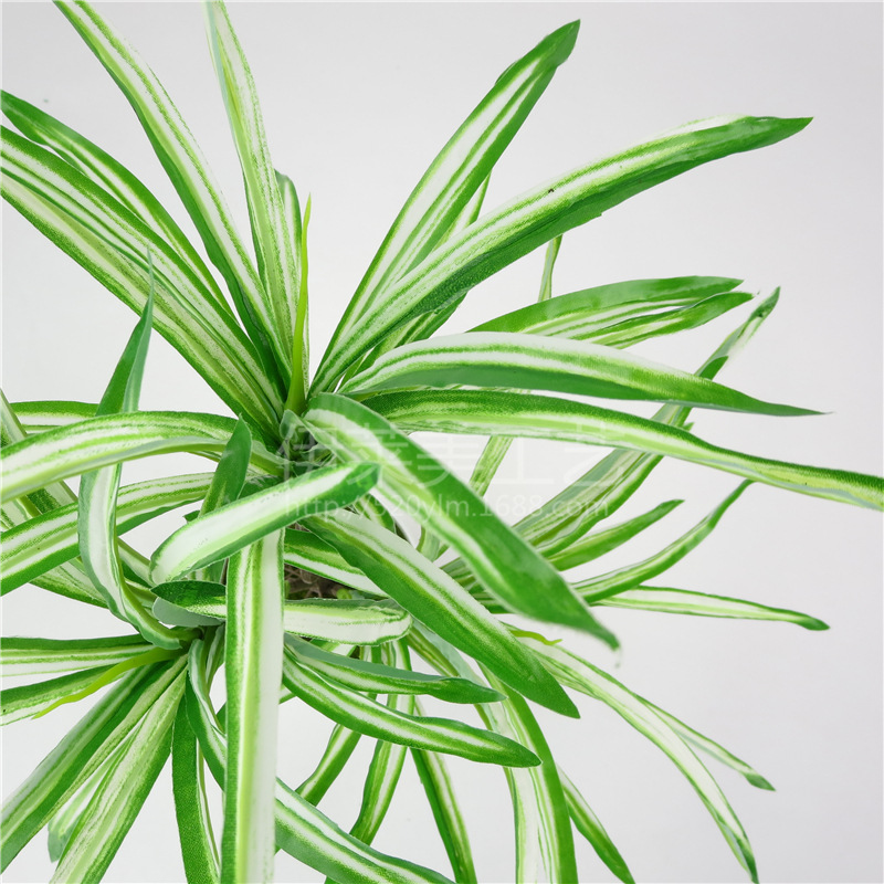 仿真植物3叉白叶兰草 把束假花仿真花艺园林绿化工程配材盆景绿植