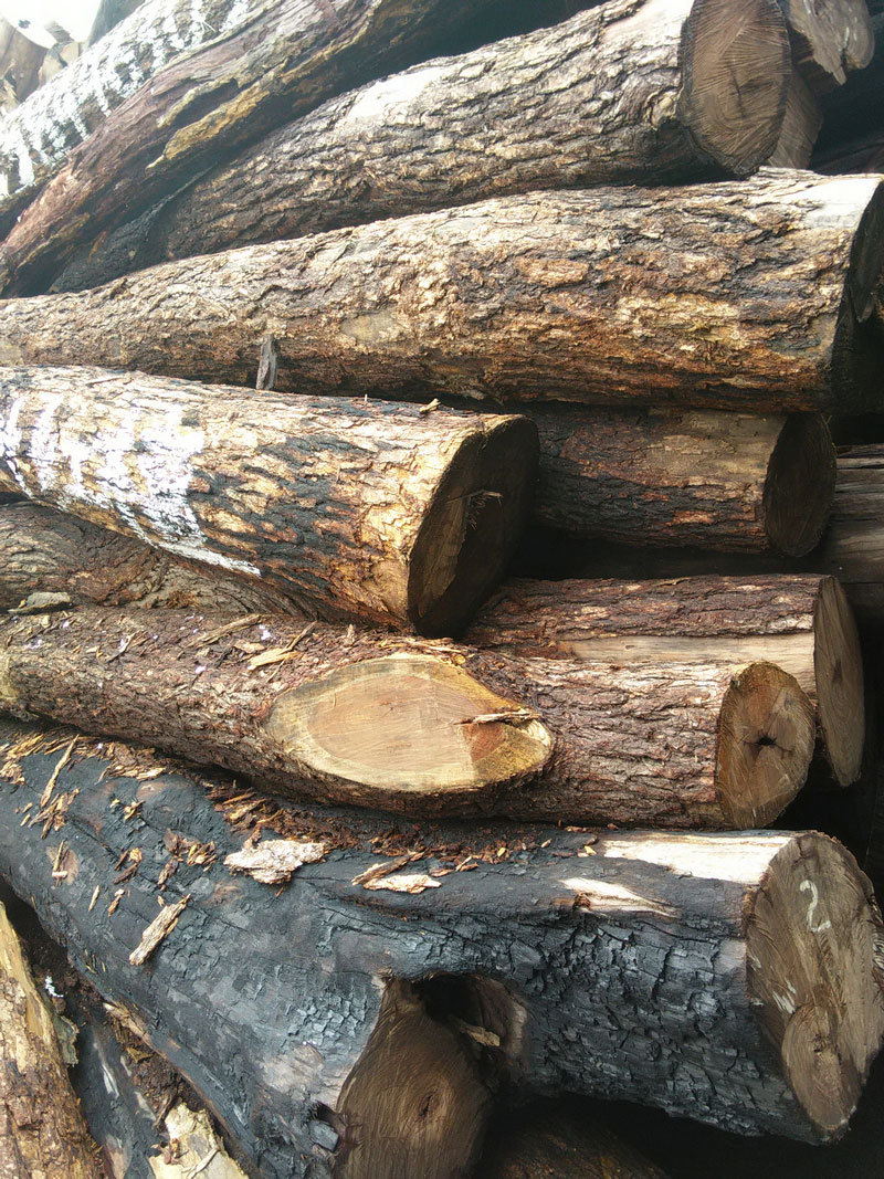 推荐红木家具小叶红檀 非洲大径原木 进口木材工程用材