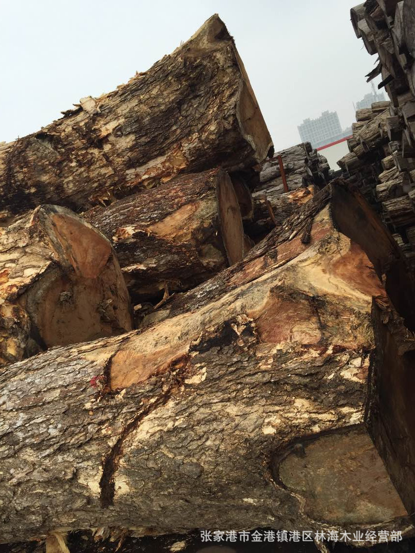 专业出售 琥珀防腐木 实木原木 办公室会议室原木木料 大径琥珀木