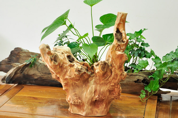 厂家直销大件家居崖柏根雕工艺品摆件防腐木质多肉植物花盆tr5721