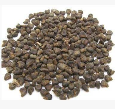 冬葵子 冬苋菜子 冬葵籽 冬葵籽 苘麻子 中药材批发 1000g克