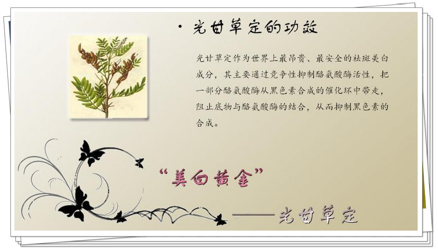 森冉生物 光果甘草提取物 光甘草定 甘草提取物 植物提取.