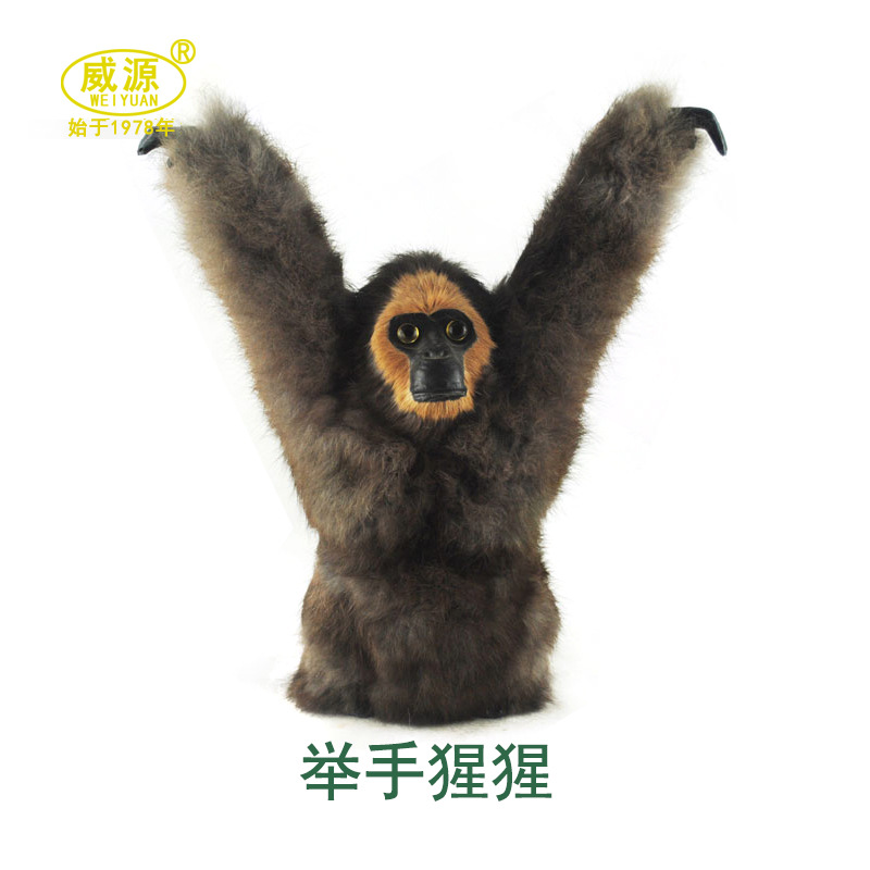 威源仿真动物手工艺家居礼品皮毛动物举手猩猩e022定制宝贝
