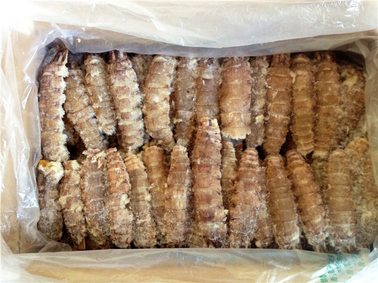 海鲜干货虾蛄干 散装天然爬虾干 产地供应直销虾爬子大量批发