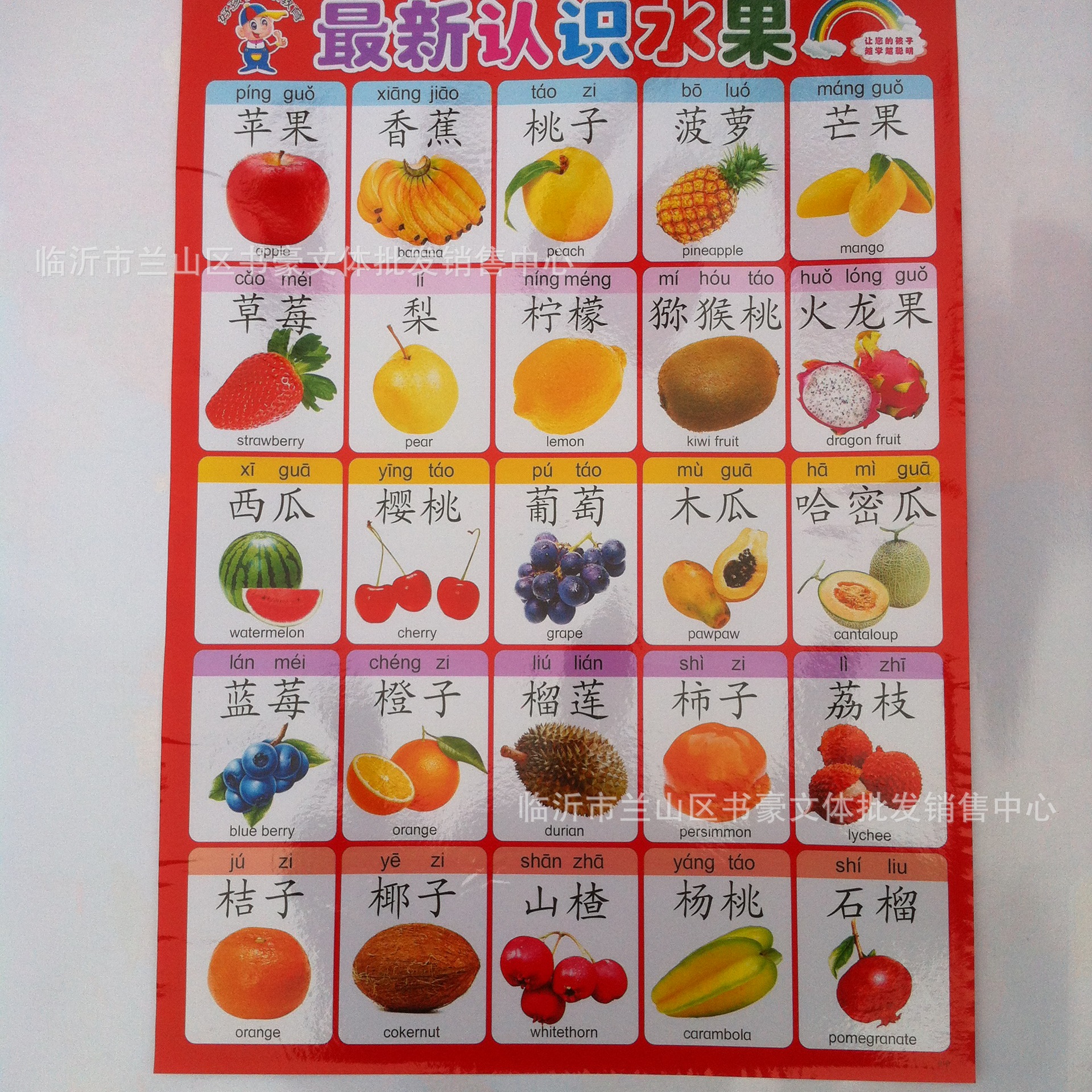 儿童早教无声挂图幼儿防水挂图挂画淘宝赠品小儒童儿童早教挂图