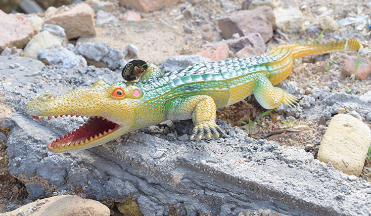 批发侏罗纪巨鳄模型 仿真超大鳄鱼模型玩具74cm发声鳄鱼新年礼物