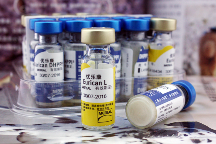 法国梅里亚六联疫苗宠物狗狗进口优乐康6联狗疫苗狗育苗