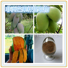 非洲芒果籽提取物 10：1 植物原料萃取  四季生物供应