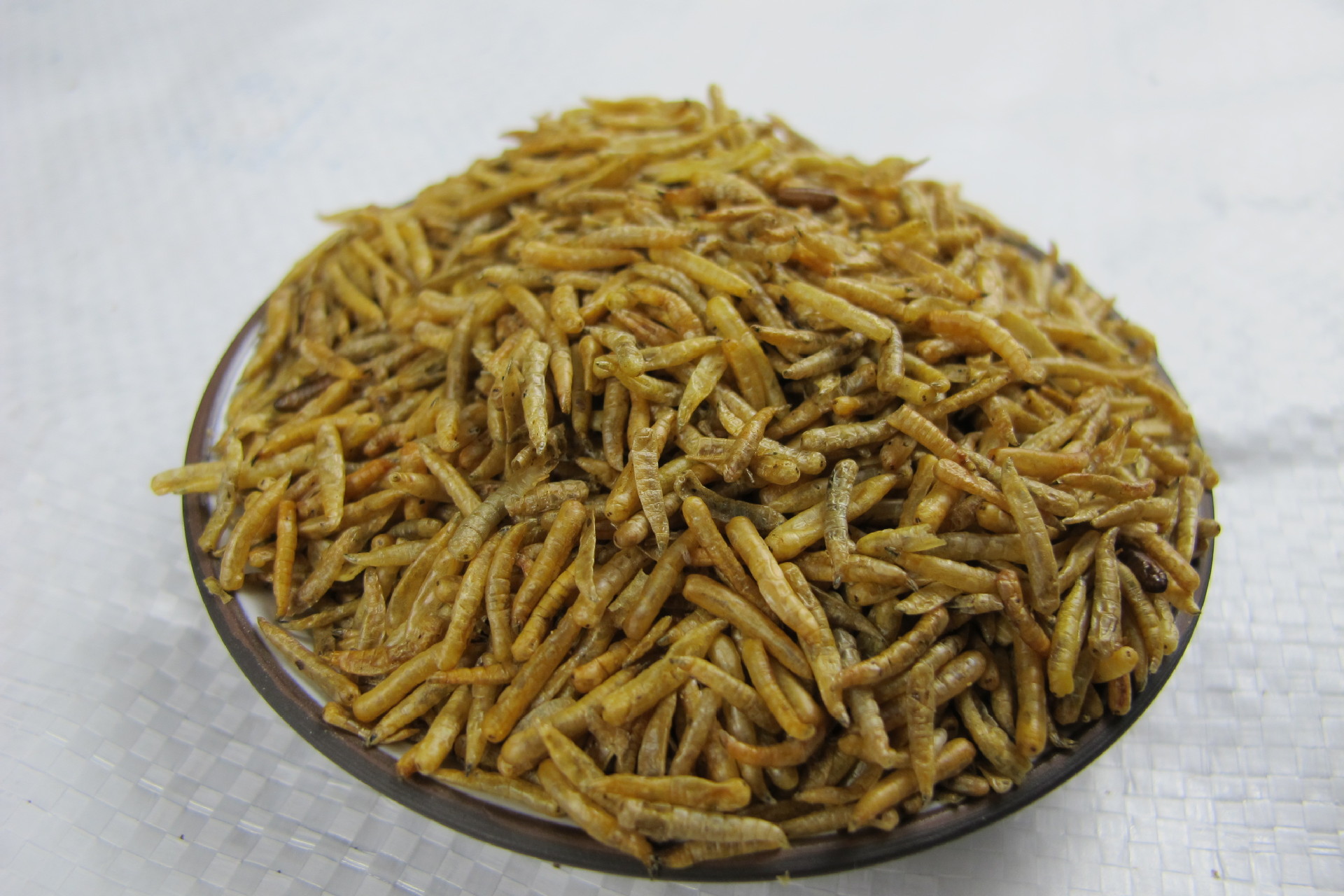 厂家常年直供 蛆干 普通蝇蛆干 干蝇蛆 量大优惠 可批发饲料