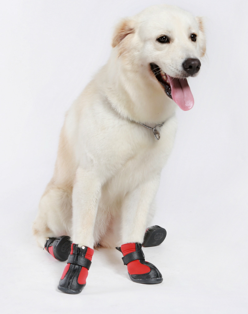 防滑耐磨大狗鞋 宠物防水鞋 金毛鞋子 狗狗鞋子