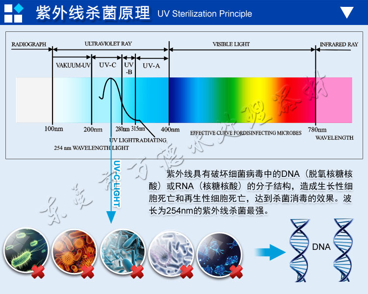 5紫外线杀菌灯原理