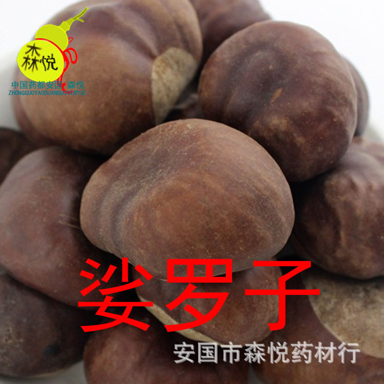娑罗子 中药材 梭罗子 婆罗子 天师栗 梭罗果 苏罗子 开心果 药用