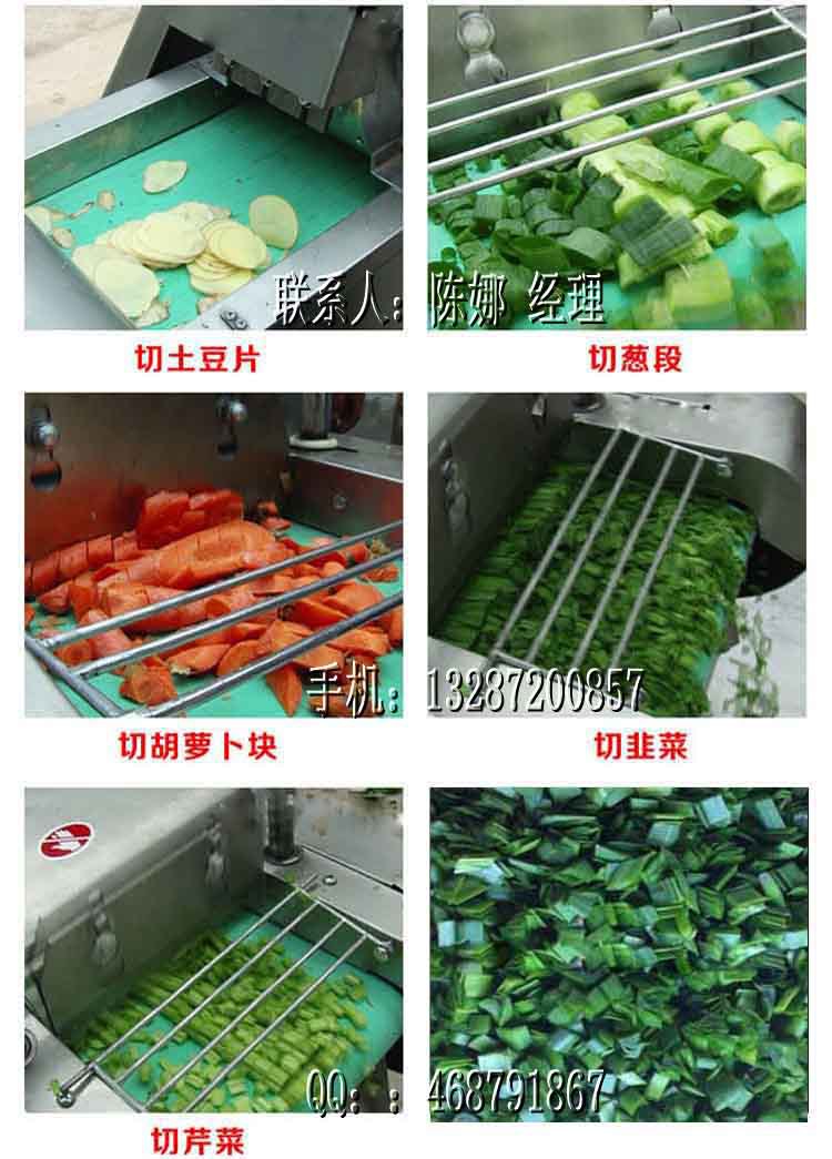 不锈钢切菜机,土豆切丝机 各种蔬菜切菜机