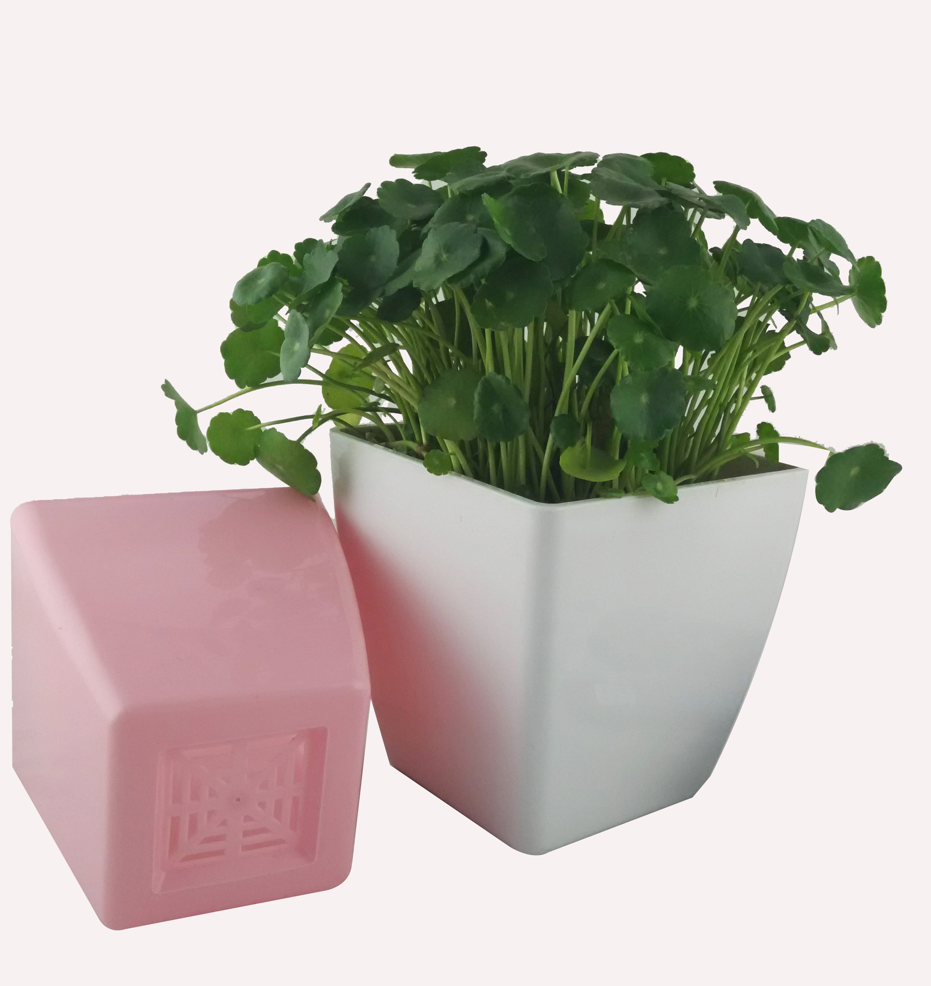 方形塑料花盆_植物容器_资材_商城_植物网