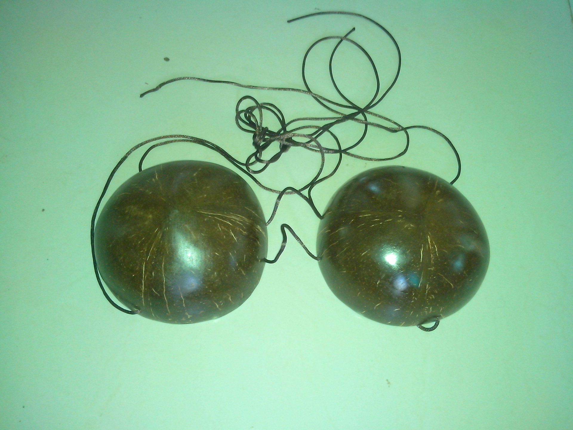 批发供应椰壳性感胸罩 椰壳文胸工艺品 价格实惠