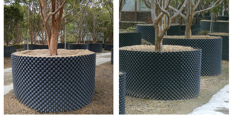 厂家批发 控根器快速控根育苗容器围树板大树种植花圃胶板排水板