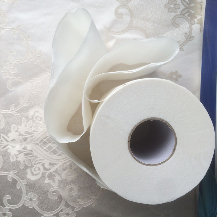 卷筒式柔韧可湿水卷纸家庭实惠纸巾自选搭配卫生活用纸0