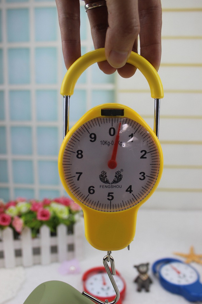 厂家供应818迷你弹簧秤厨房小工具厨房手提秤10kg迷你手提秤