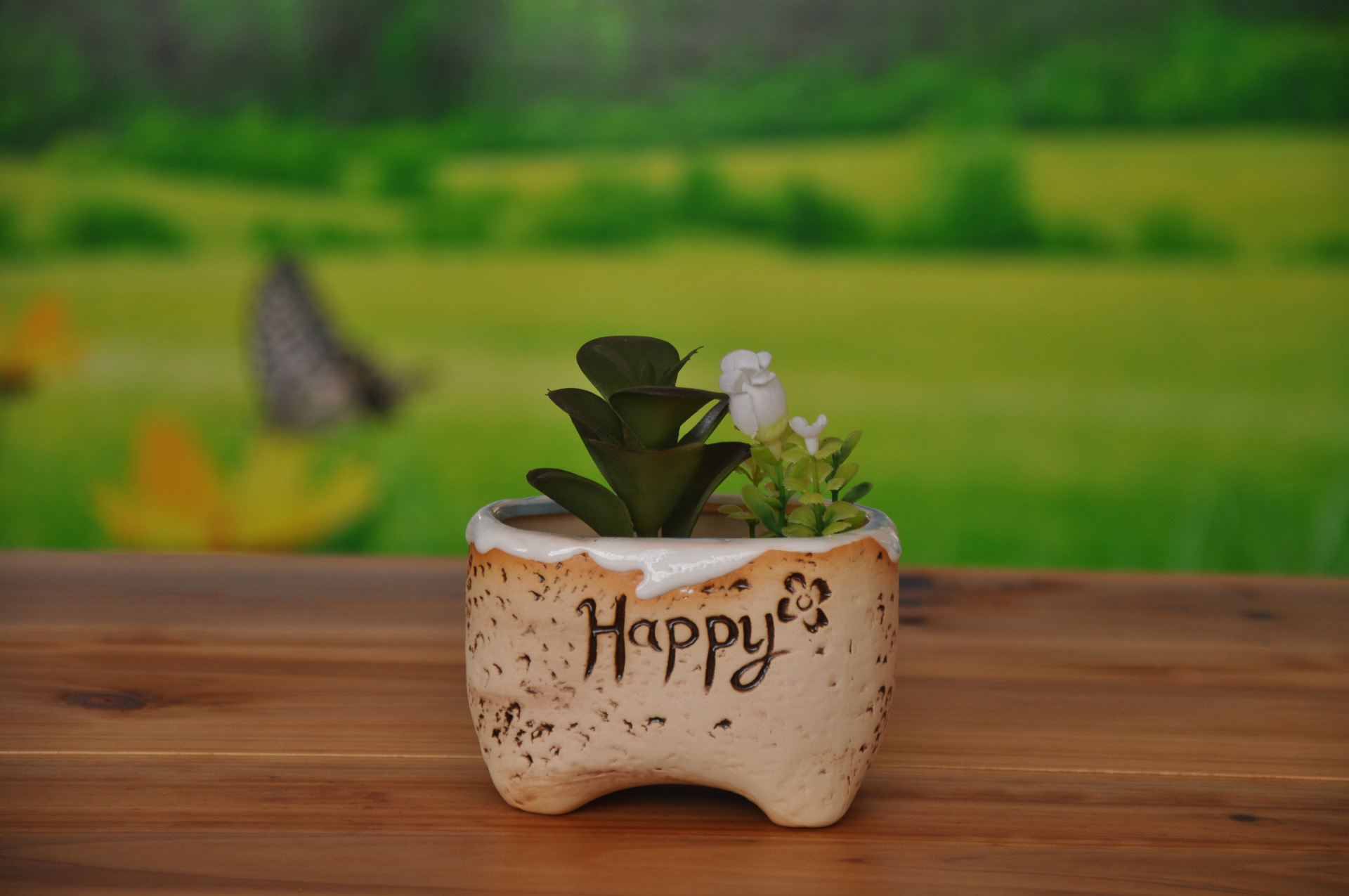 陶瓷创意花盆 英文多肉花盆 工艺品摆件 室内阳台盆栽花器qt119